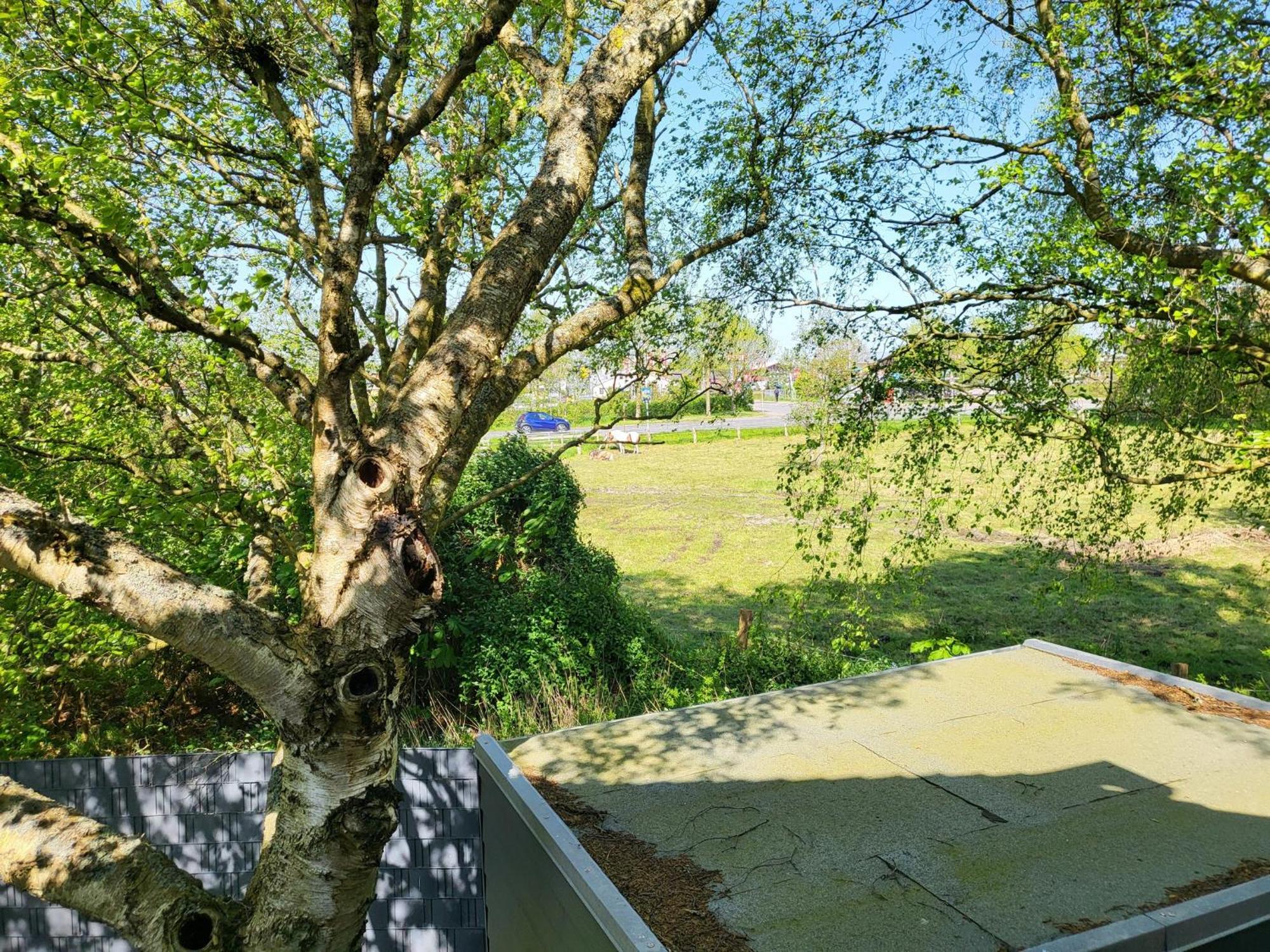 Ferienhaus Dhh "Unsere Zweite Heimat" Links Sankt Peter-Ording Esterno foto